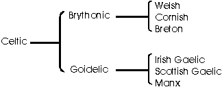 This image illustrates the use of braces to show the divisions and subdivisions within the Celtic family of languages.